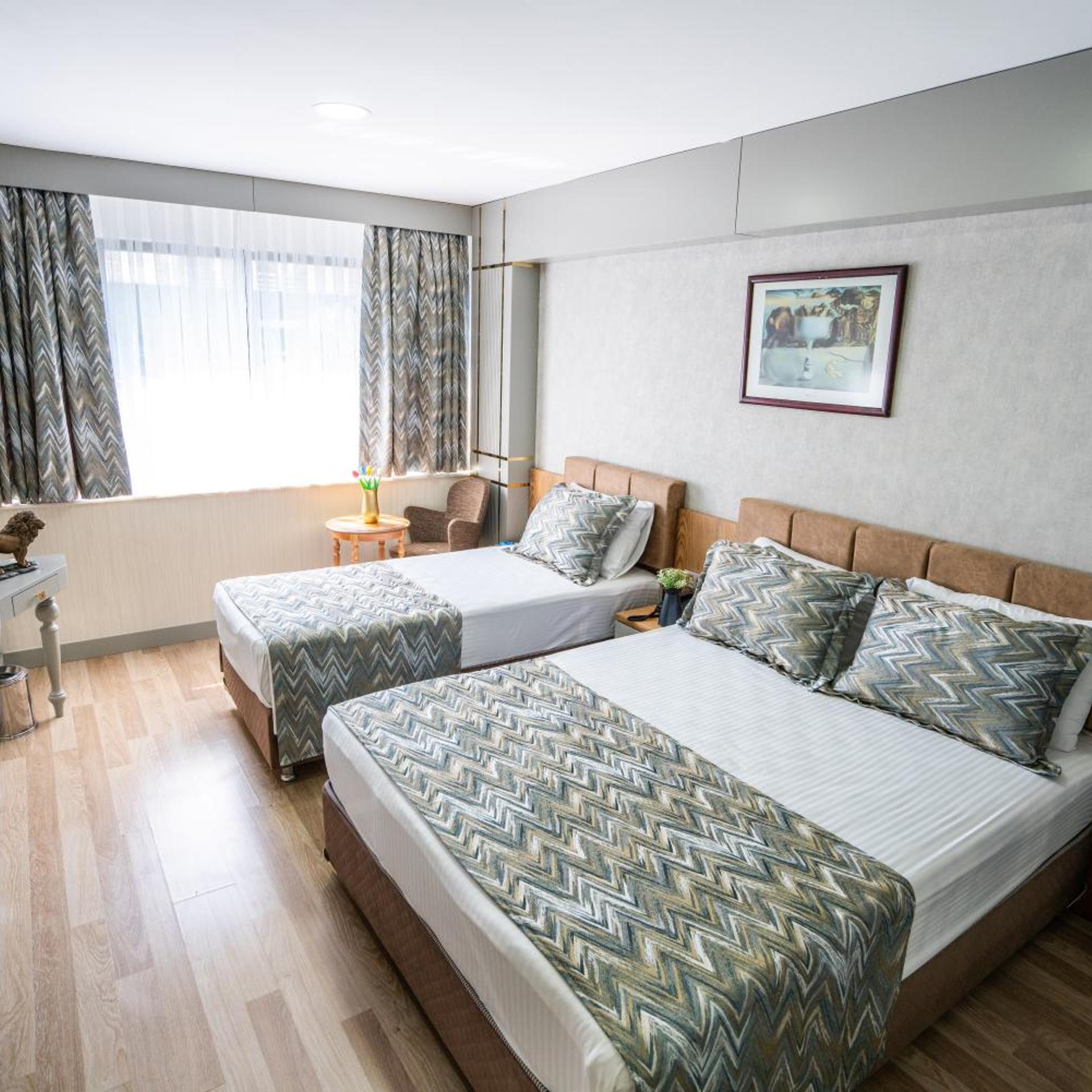 غرفة بسرير مزدوج، Lion City Hotel Kizilay 3/8