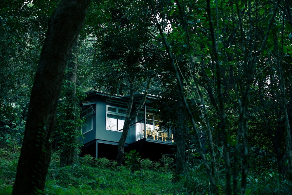 Wayanad Wild - Cgh Earth 37/48