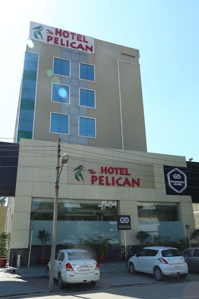 THE PELICAN 17/18