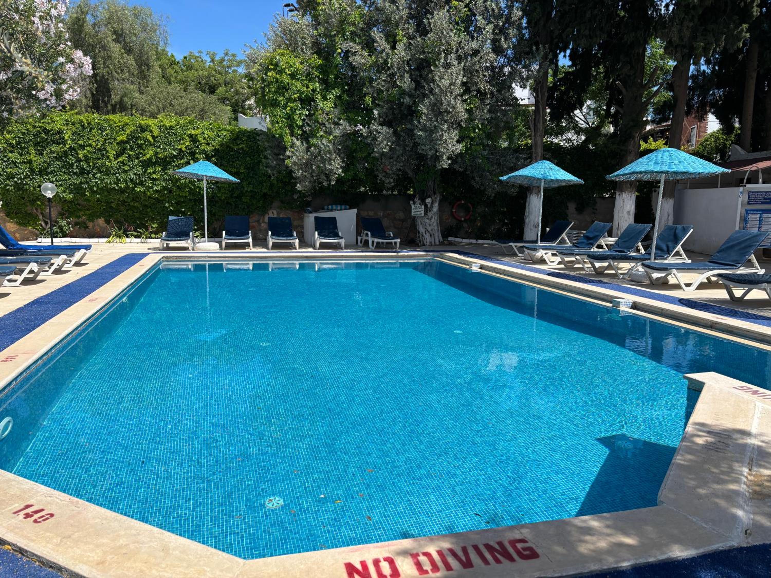 Ali Baba Hotel 32/55
