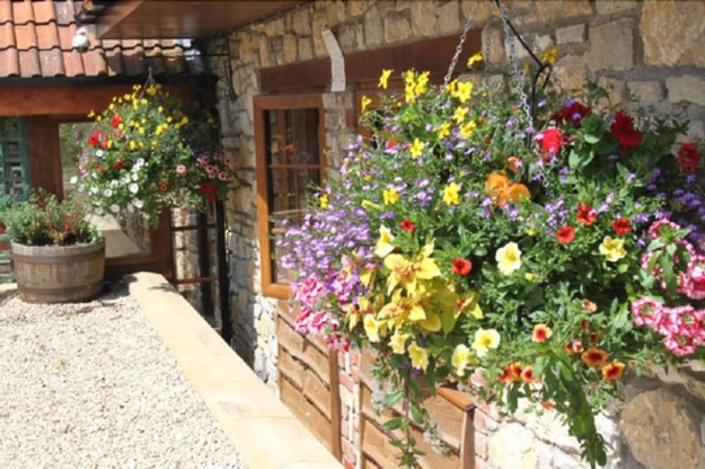 Bridge Farm Guesthouse 3/50