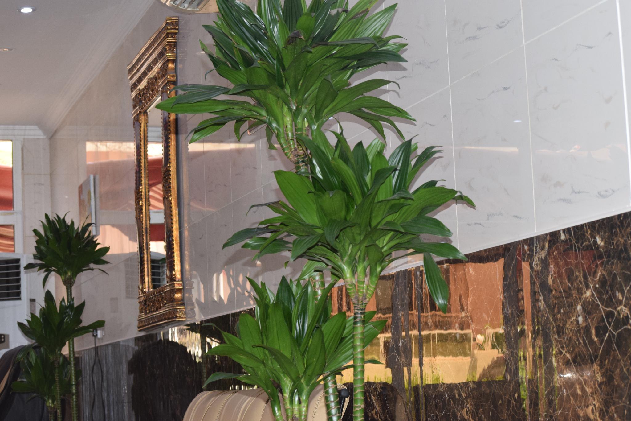 Lobby at MARHABA RESORT AND HOTEL, SHARJAH