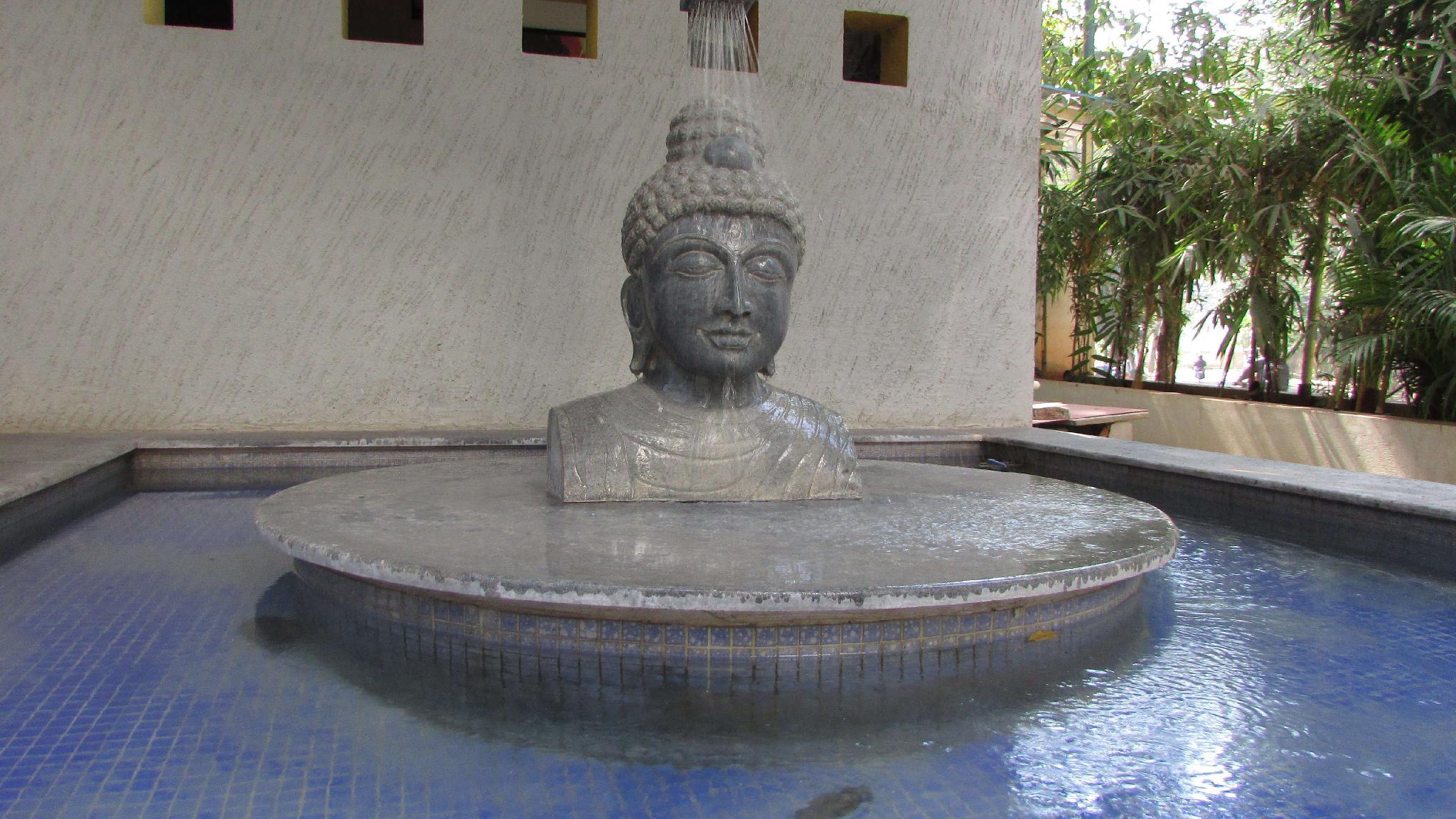 Vinaya Royal Inn 16/16