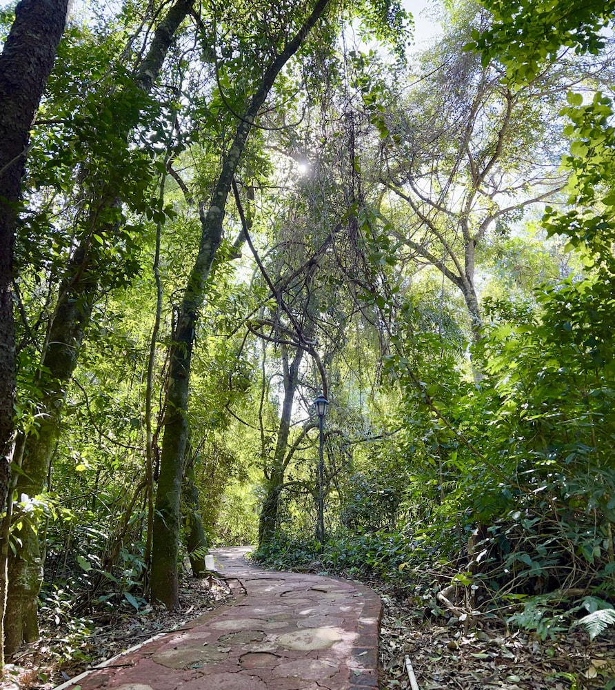 Rainforest de Selva Hotel 56/65