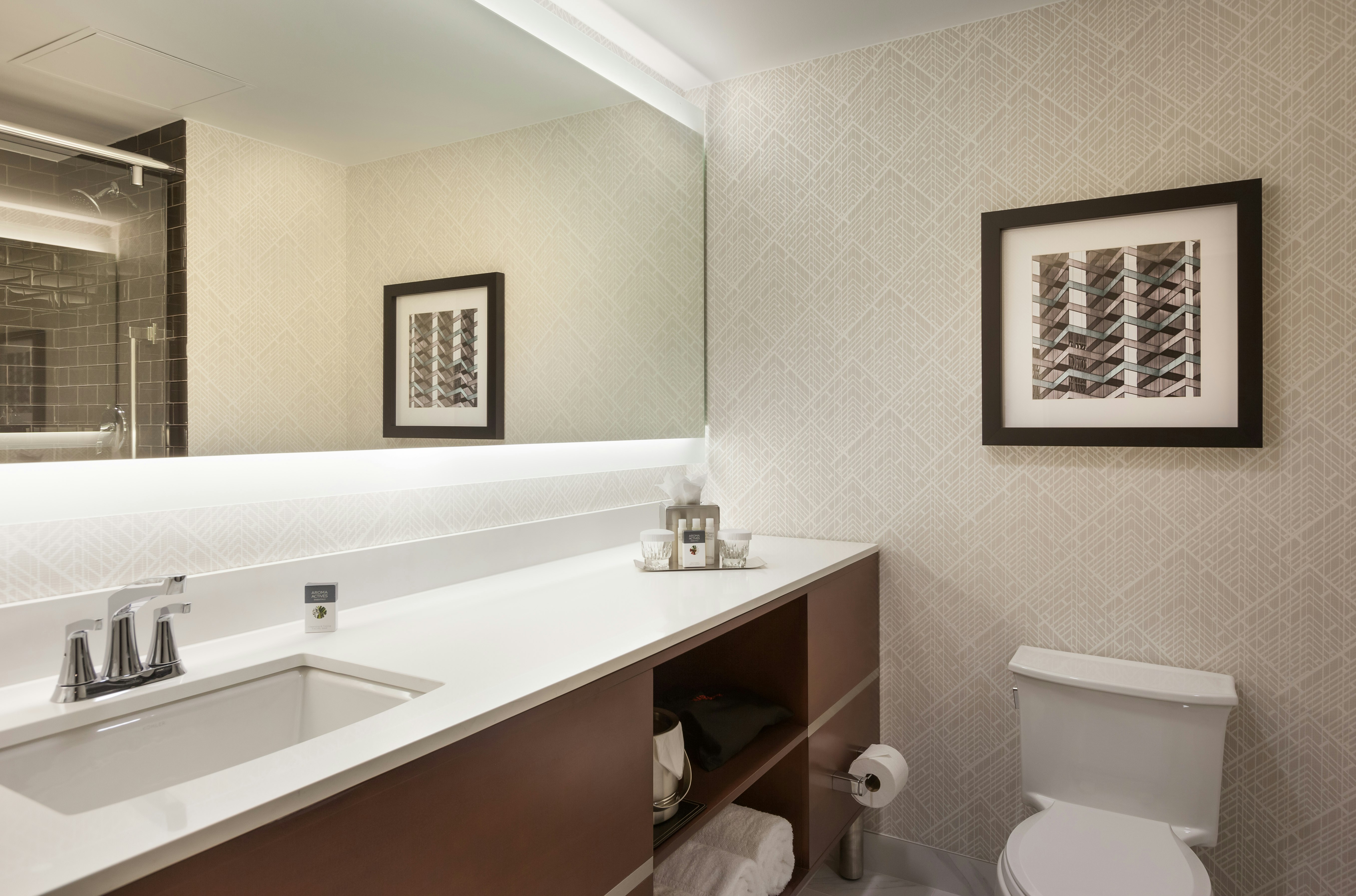 DoubleTree by Hilton Hotel & Suites Houston by the Galleria 25/26