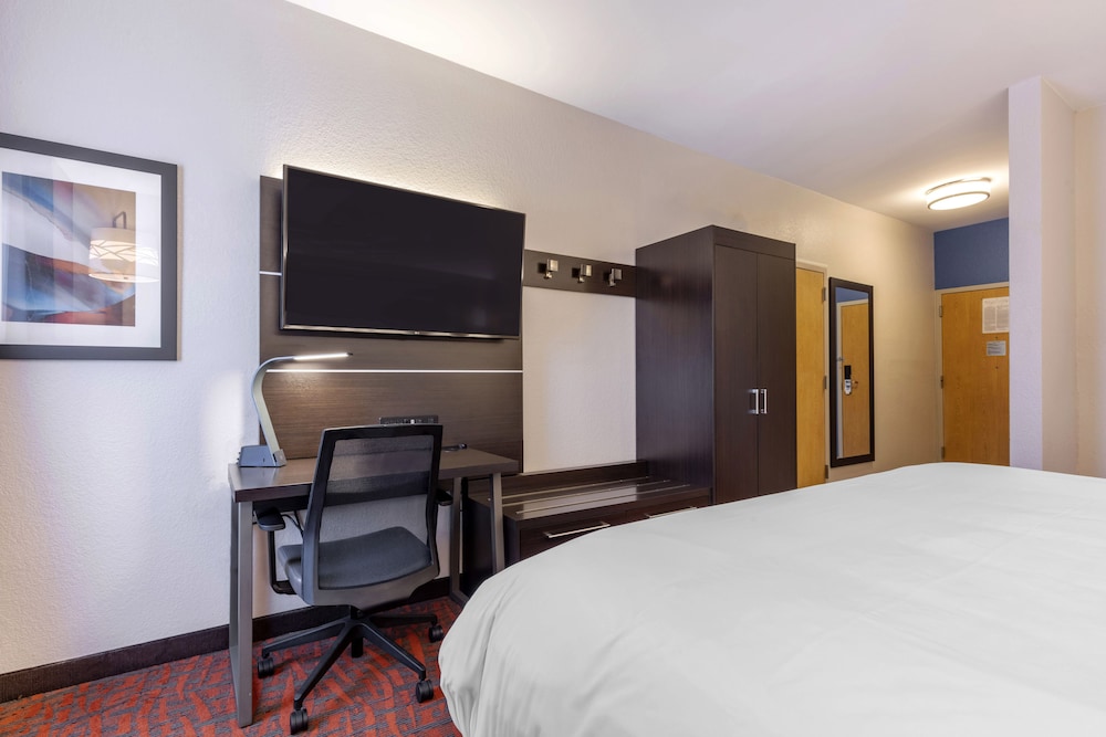 Holiday Inn Express Metropolis 14/43
