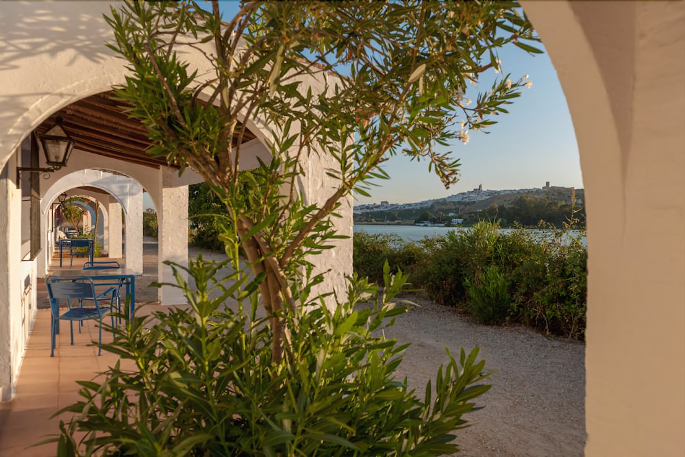 La Molinera Arcos (Restaurante Mesón de La Molinera) 6/45