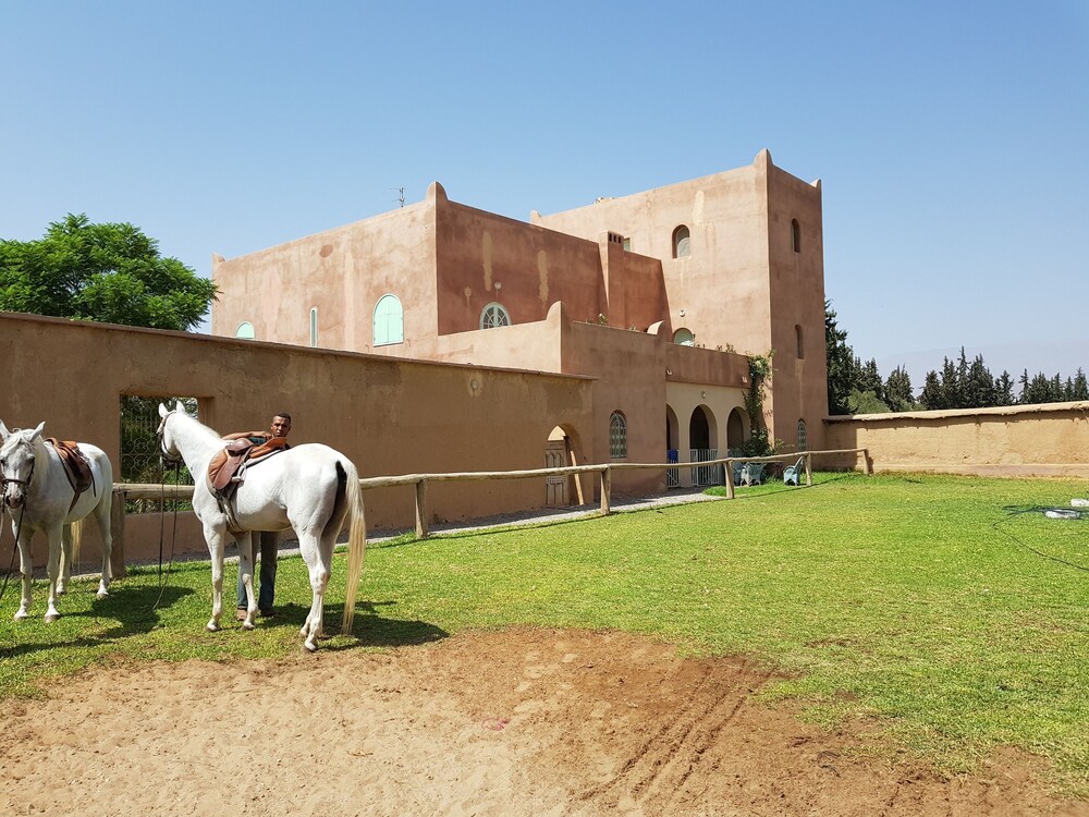 Palais Claudio Bravo 4/47
