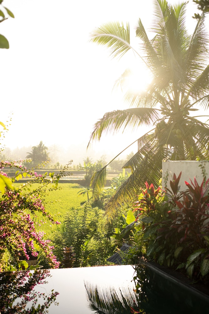 Ubud Padi Villas 51/60