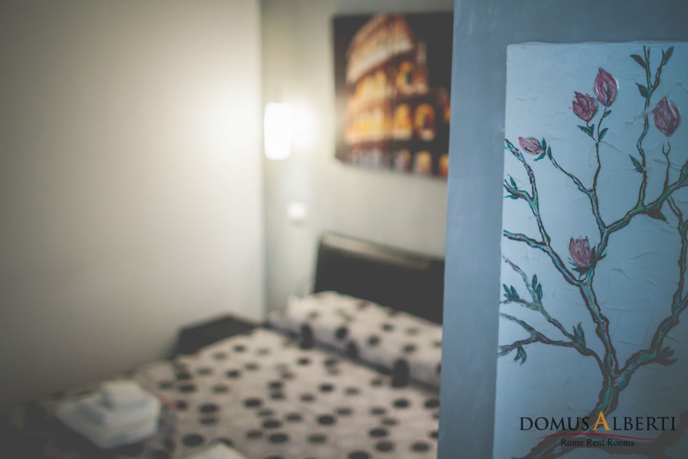 Domus Alberti 22/50