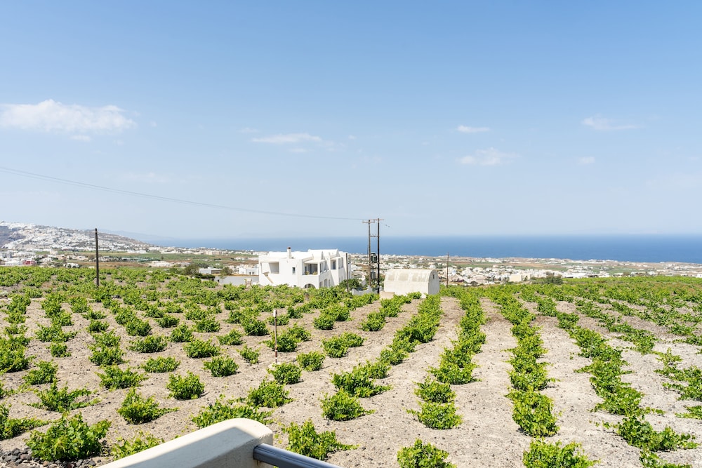 Ampelonas Executive Houses 34/47