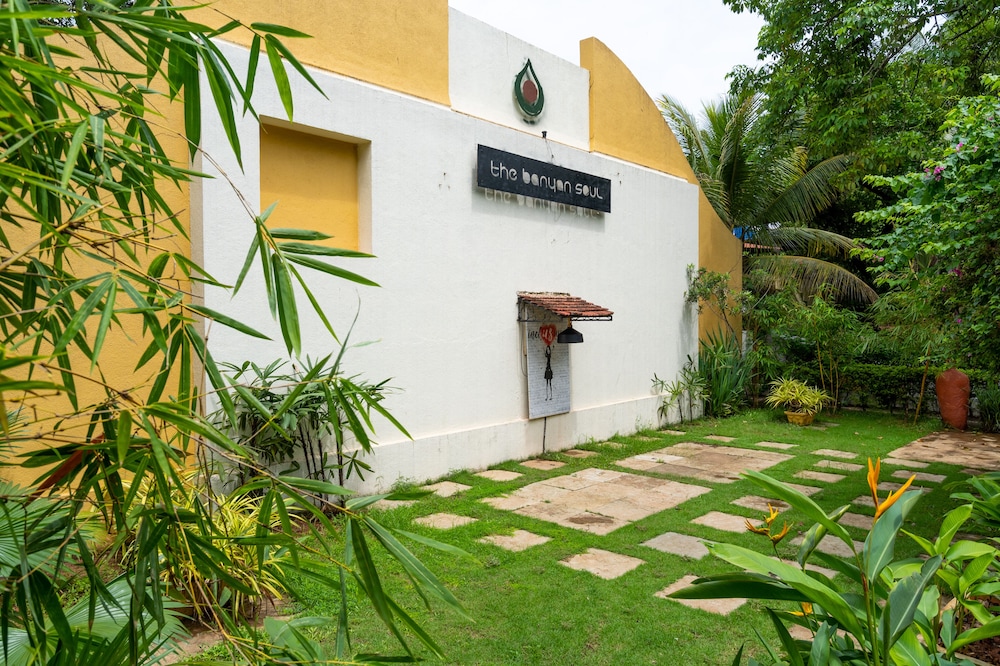 THE BANYAN SOUL 40/50