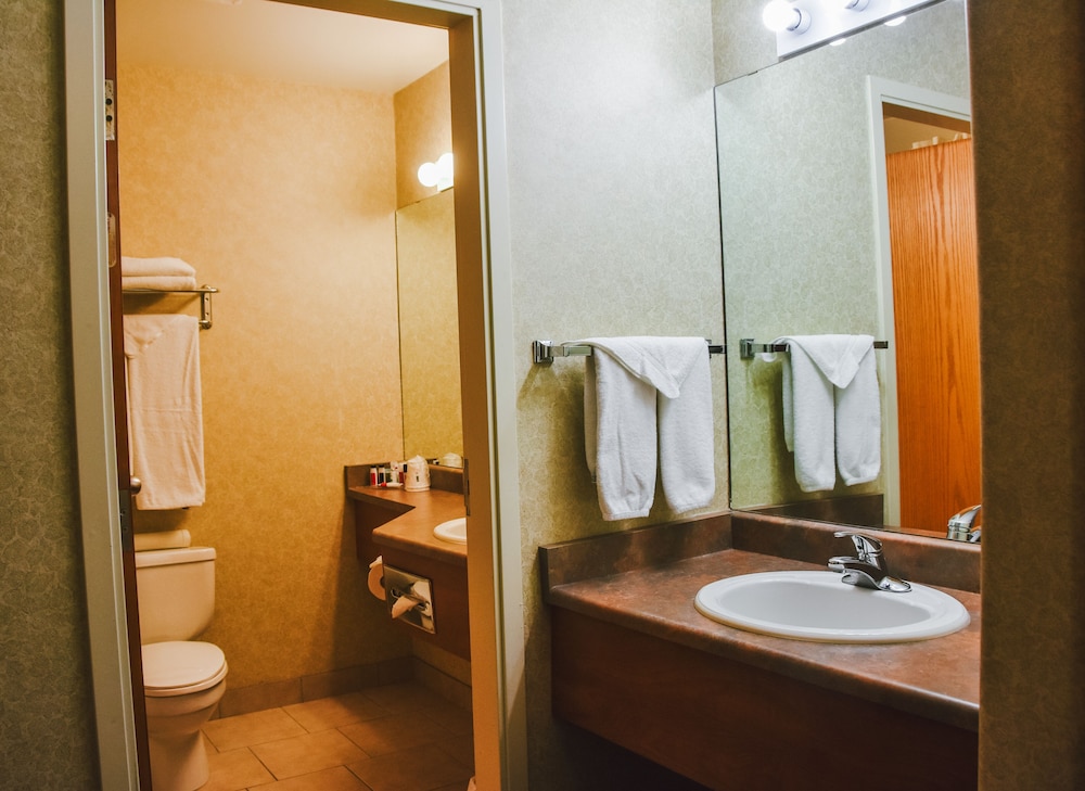 Stony Plain Inn & Suites 14/44