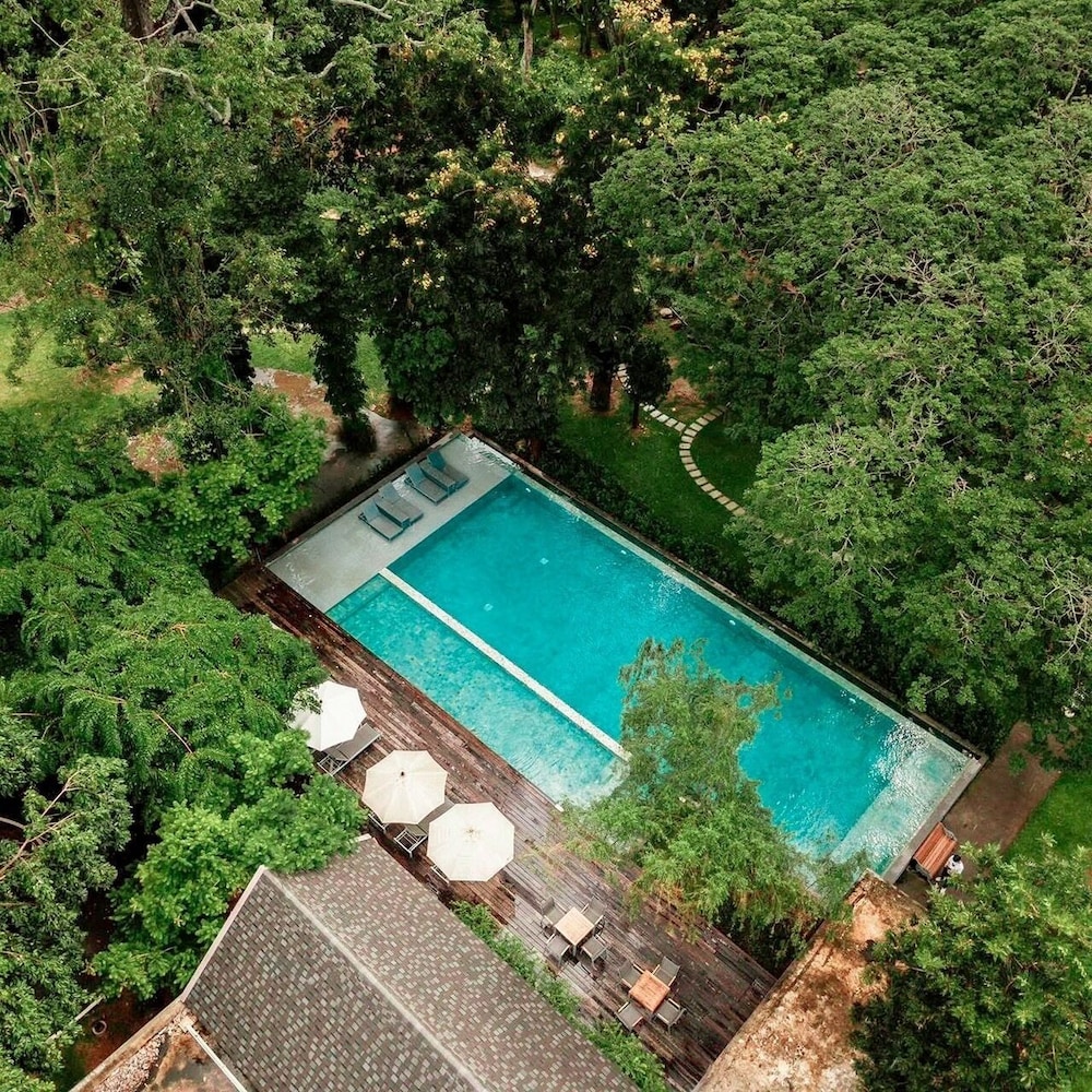 Flora Creek Chiang Mai 44/77