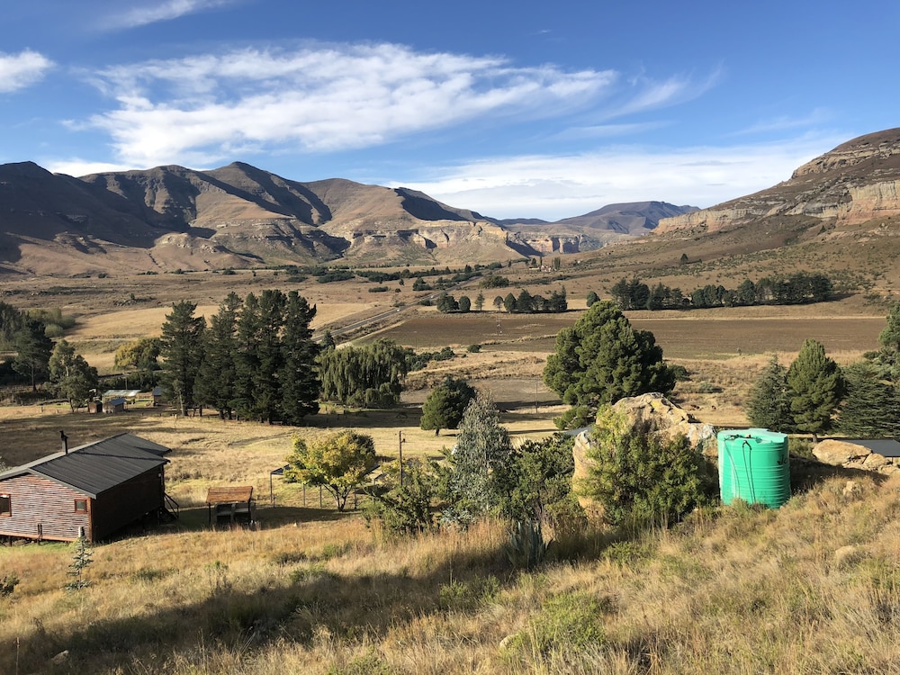 Yarona Guest Farms 29/58