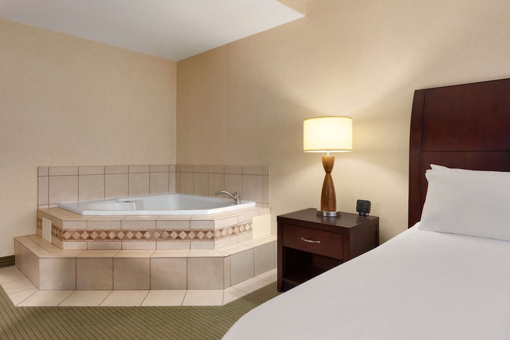 Hilton Garden Inn Dulles North 17/82