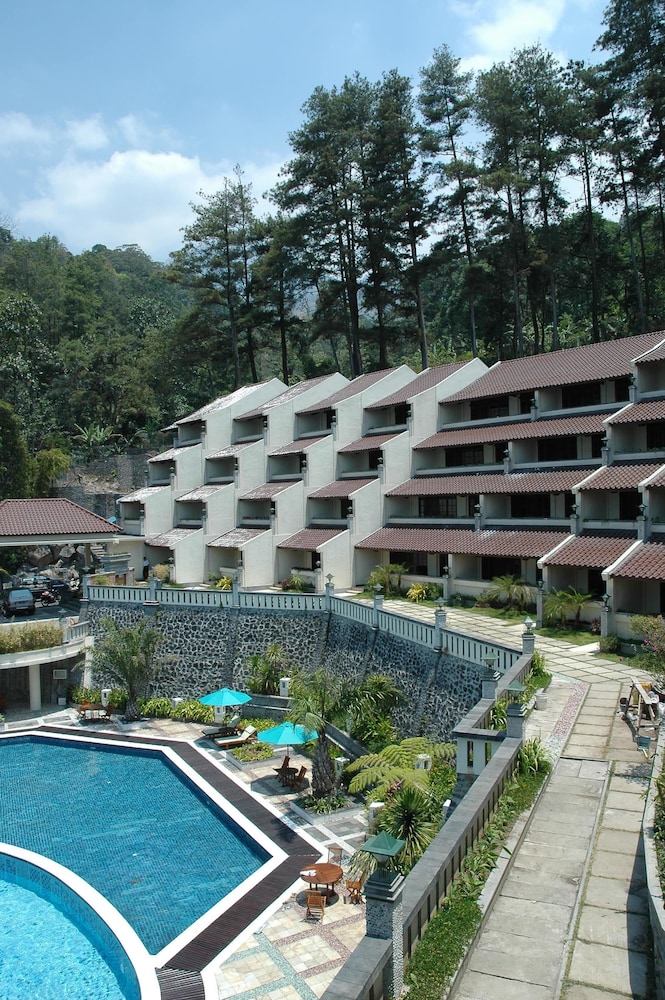 Pines Garden Resort 6/46