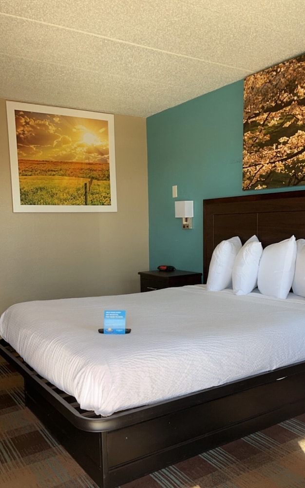 Room, Queen Bed, Accessible