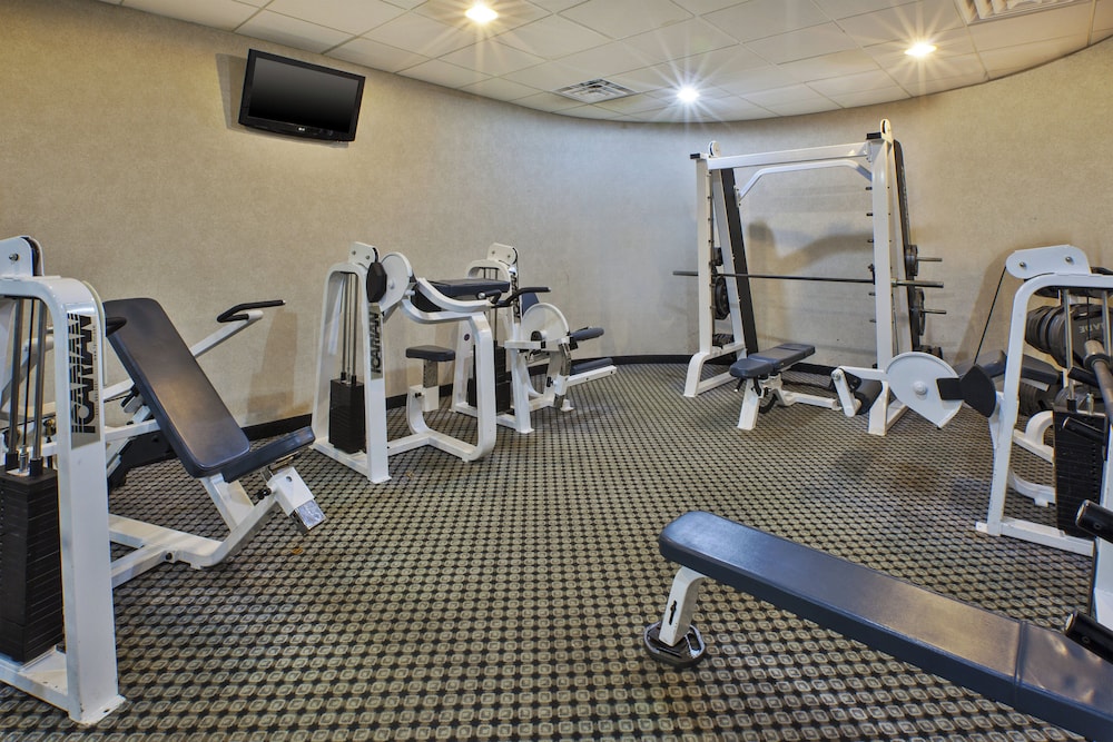 Holiday Inn Express & Suites Belleville (Airport Area) 30/50