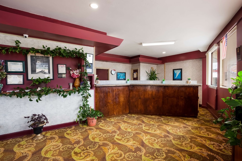 费耶特维尔/布拉格堡骑士酒店(Knights Inn Fayetteville) 图片5
