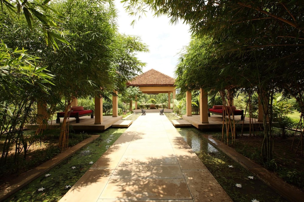 Tuli Tiger Corridor 17/23