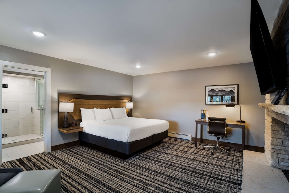 Suite, King Bed