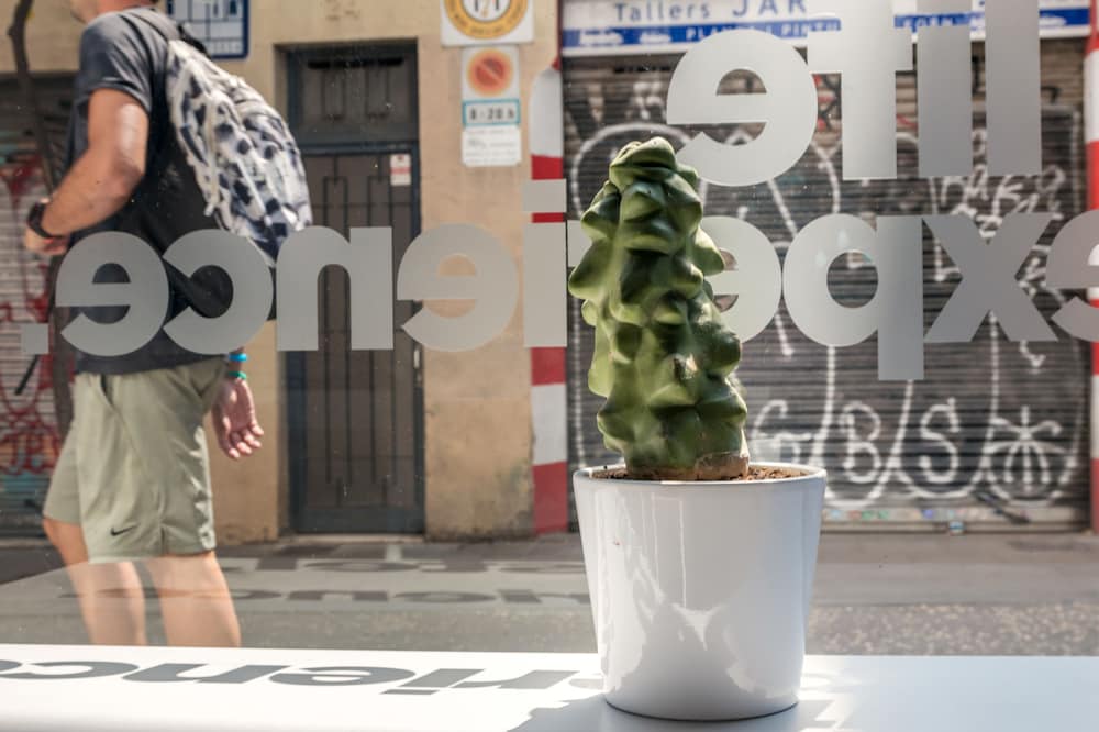 Sant Jordi Hostel Gracia 6/31