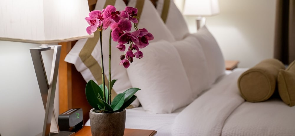 Service Plus Inns and Suites Calgary 28/56