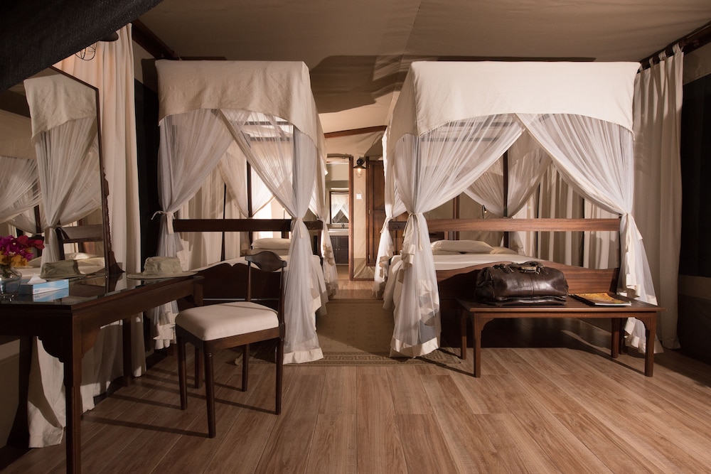 Fig Tree Camp 24/45