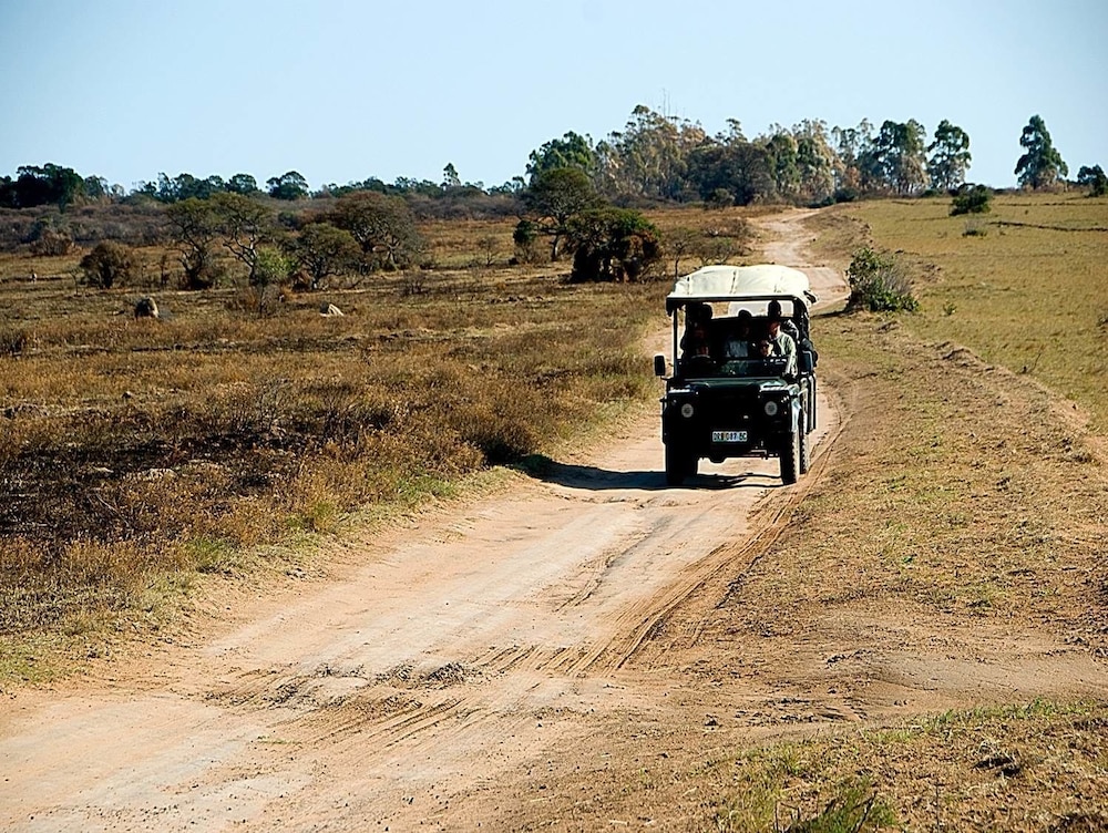 Inkwenkwezi Private Game Reserve 37/50