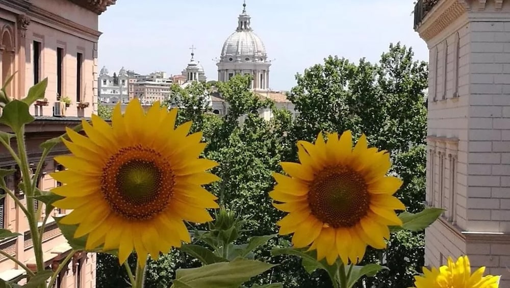 HOTEL RESIDENZA CAVALLINI 27/32