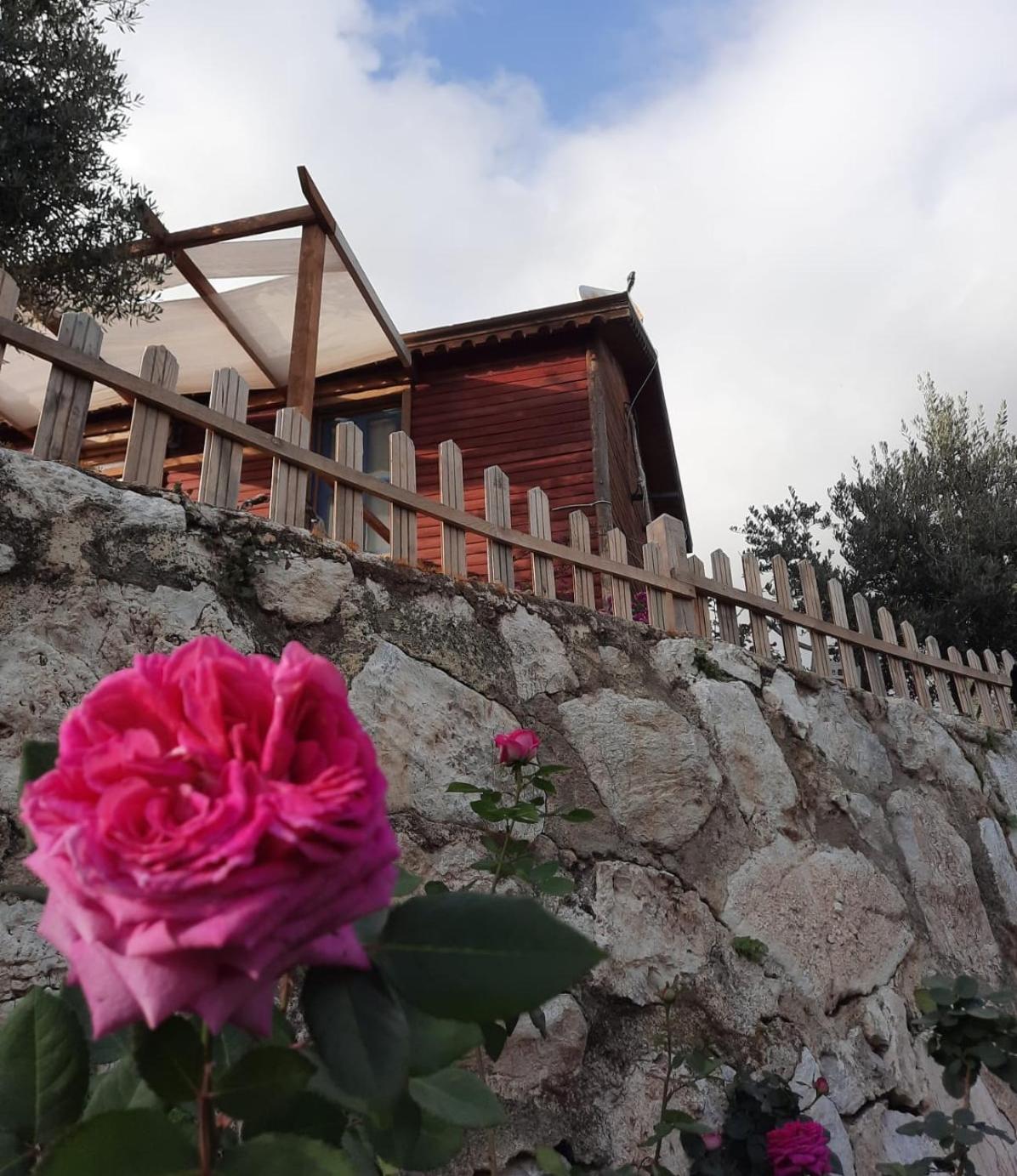 Bahar Bahce Datca 2/39