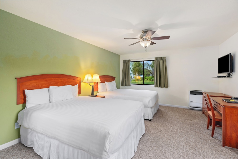 Vineyard, Standard, 2 Queen Beds