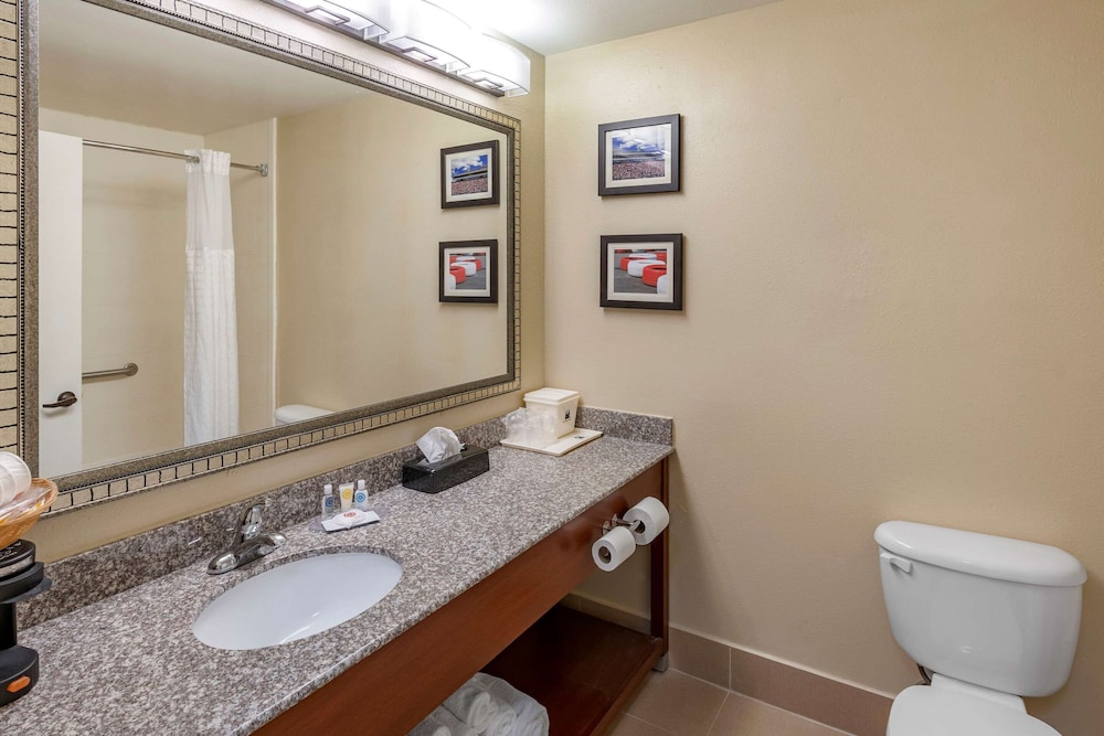 Comfort Inn and Suites Lincoln AL 26/61