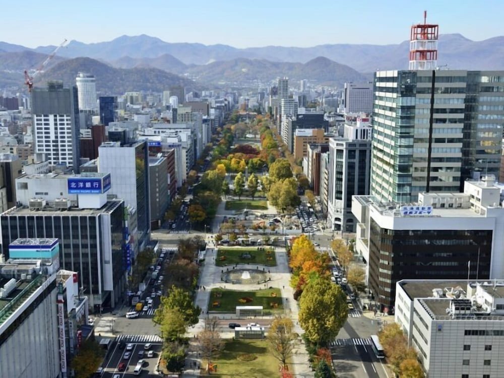 Hotel Resol Trinity Sapporo 4/71