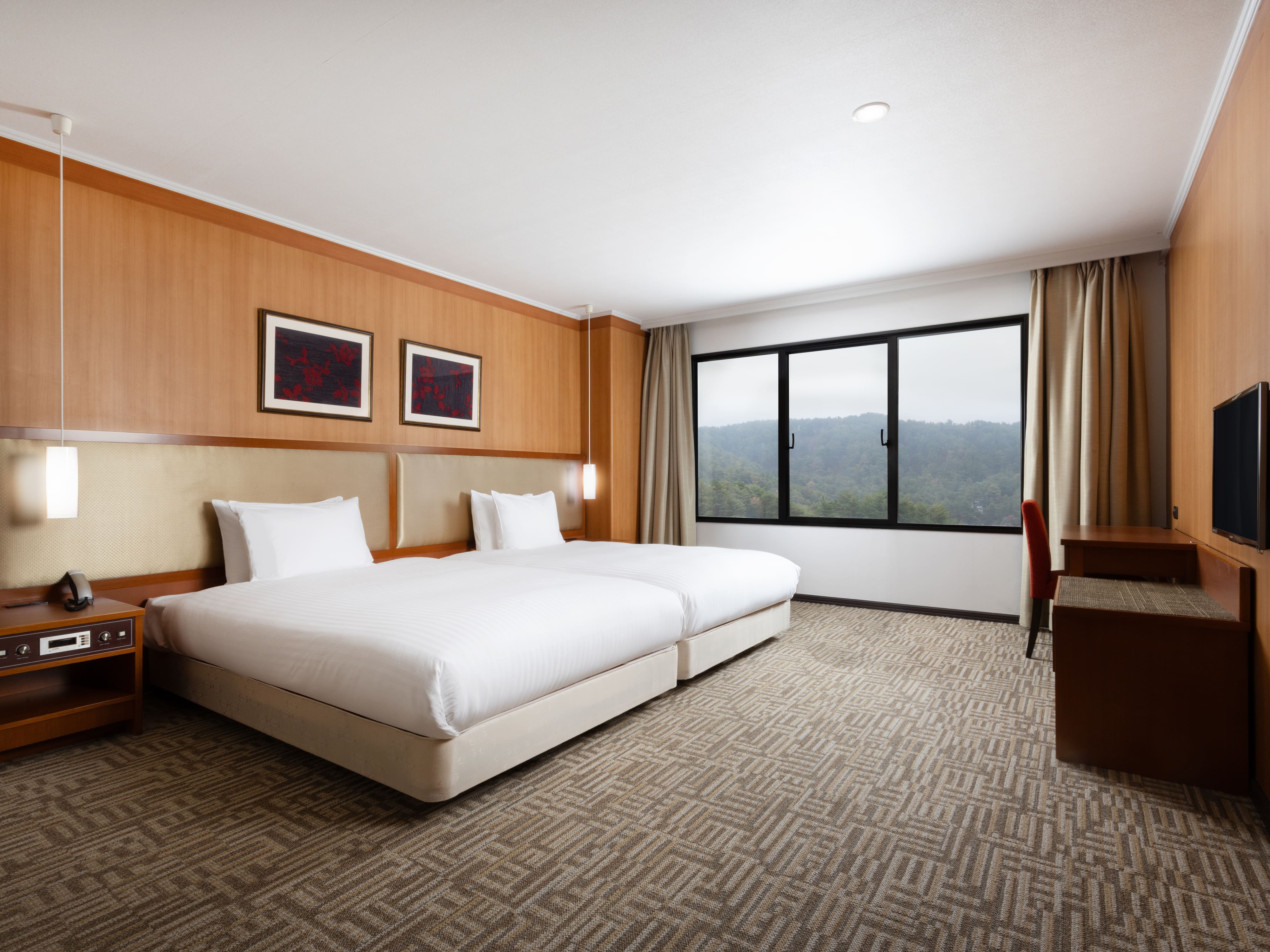 Deluxe, Privilege, Suite, Single, 4 Beds, Mountain View