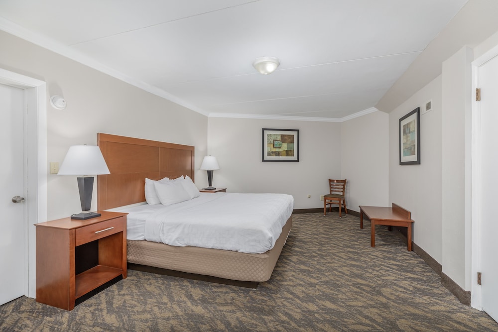 SUITE, KING BED