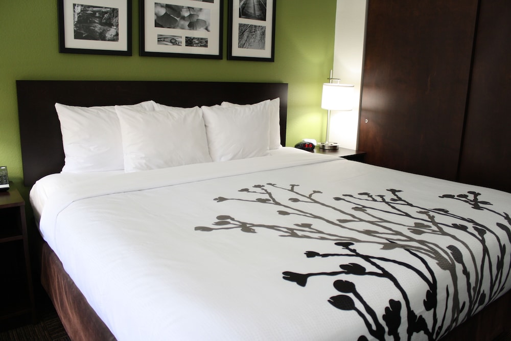 Sleep Inn Ellenboro Hwy 50 13/42
