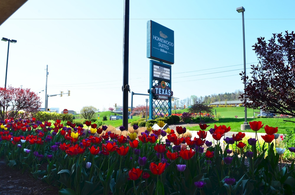 Homewood Suites by Hilton Reading 48/51