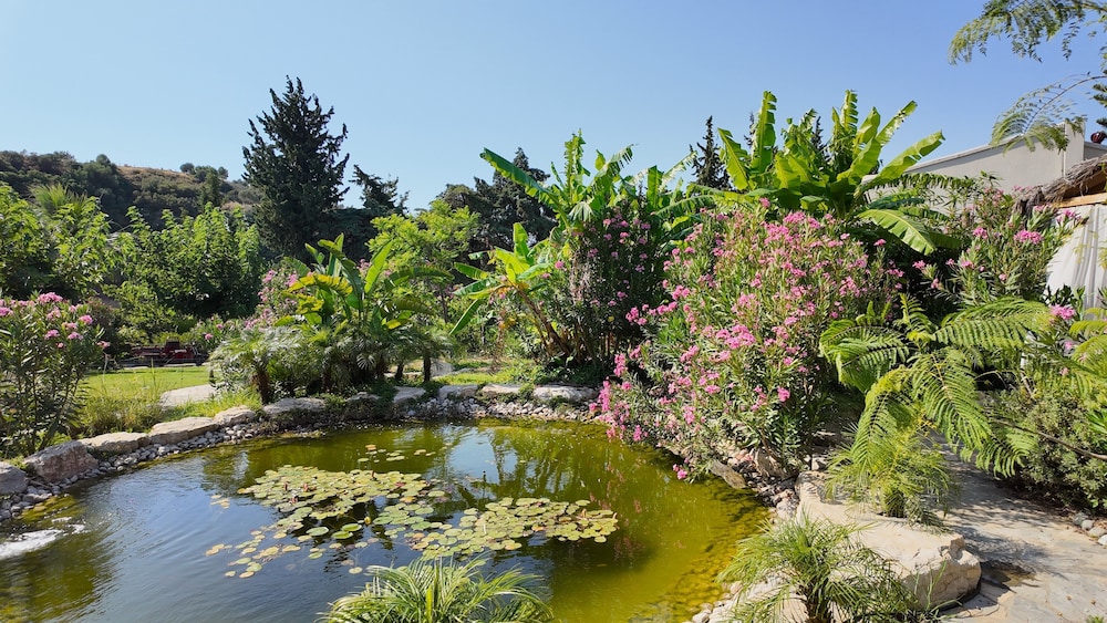 Kairos Valley Health & Nature Resort 66/68