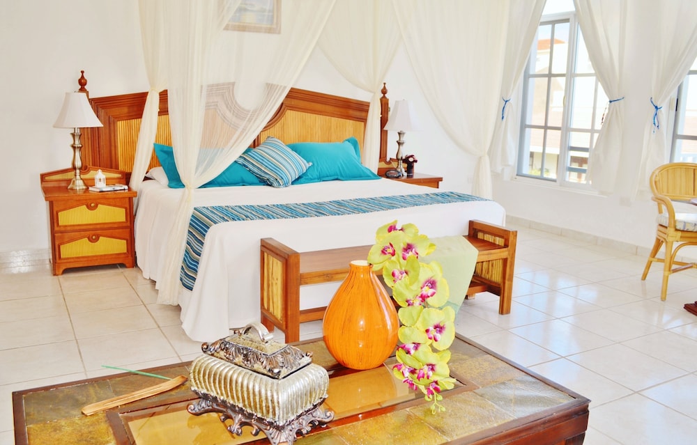 Corales Suites 15/50