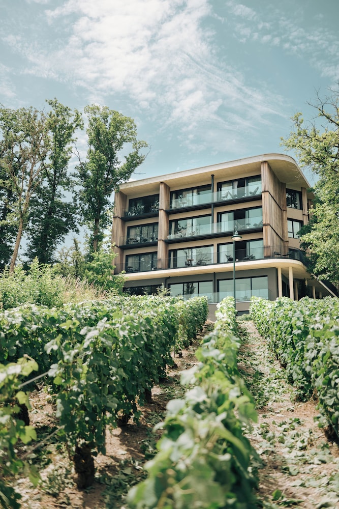 LOISIUM Wine & Spa Hotel Champagne 7/81