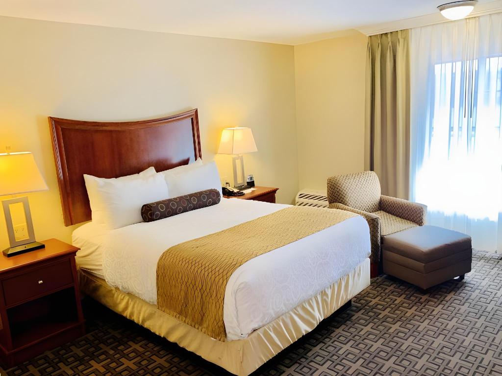 Room, Queen Bed, Smoking