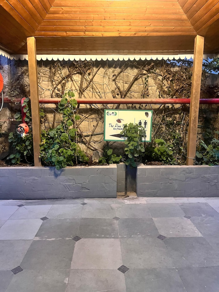 UNA COMFORT KASAULI EXOTICA 4/50