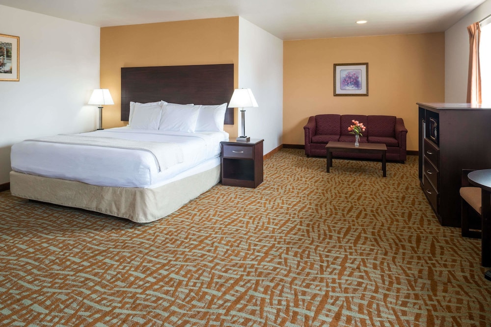 Studio, Suite, King Bed, Accessible