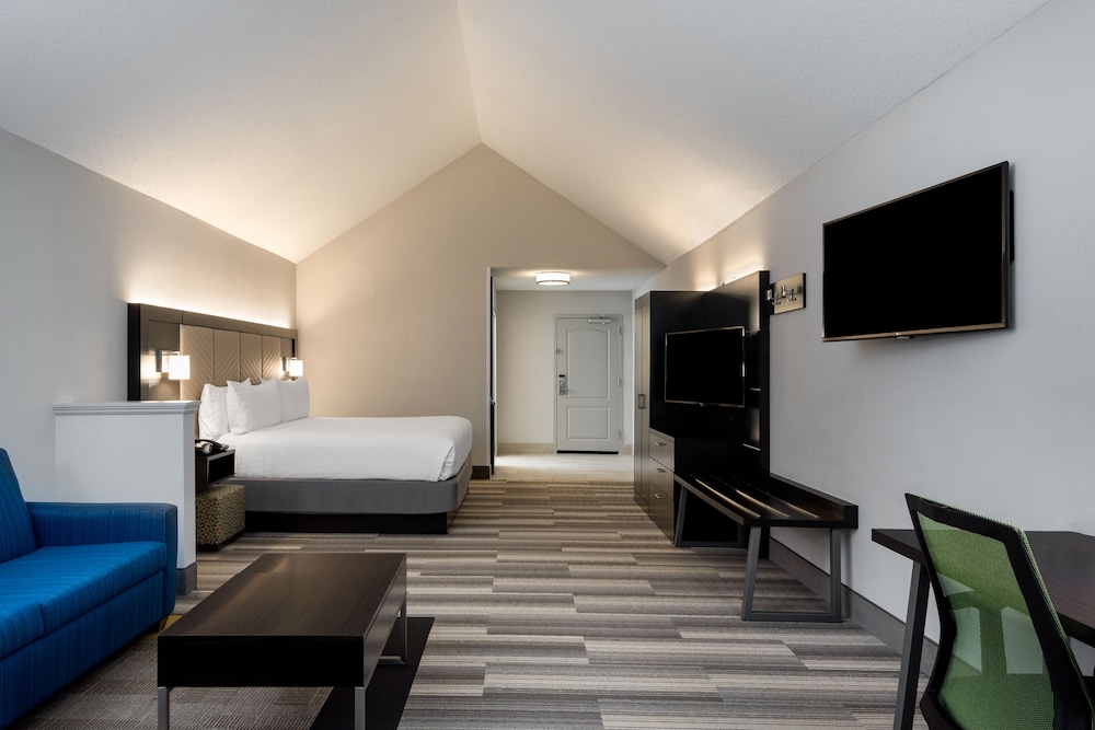 Holiday Inn Express and Suites Florence I-95 and I-20 Civic Ctr, an IHG Hotel 31/70