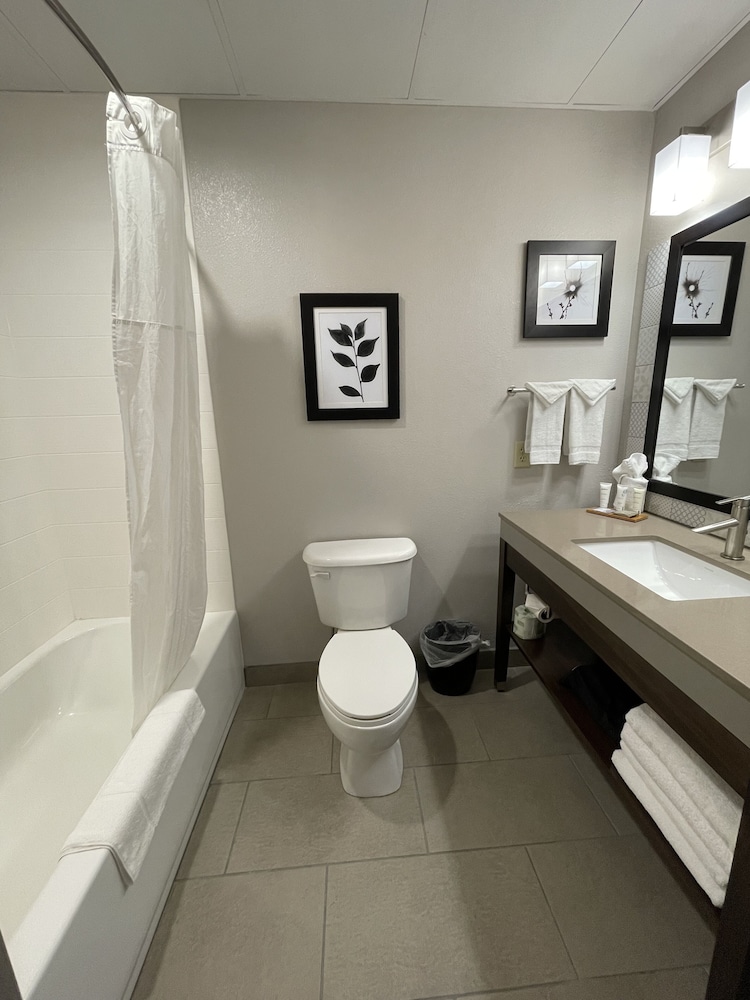 COUNTRY INN SUITES BY RADISSON VALDOSTA GA — foto 5
