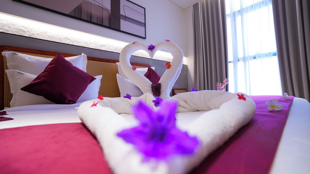 فندق فيفيان بارك الرائد(Vivian Park El Raeid Hotel) 24/48