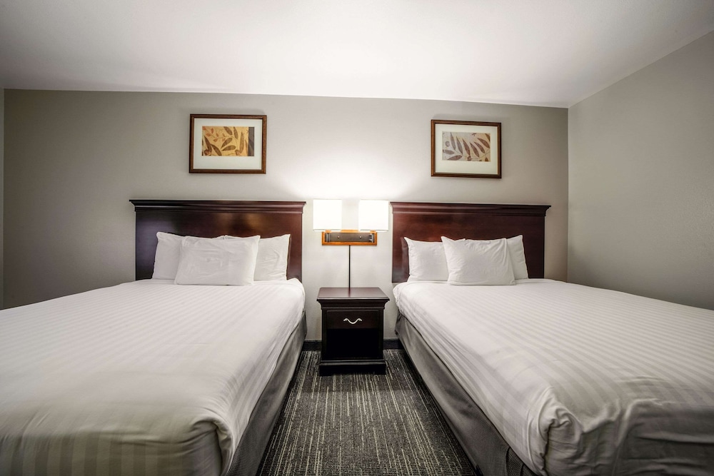 SUITE, 2 QUEEN BEDS