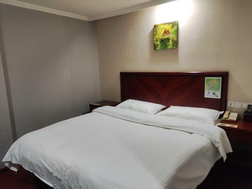 Guest Room, Double Bed, No Window
